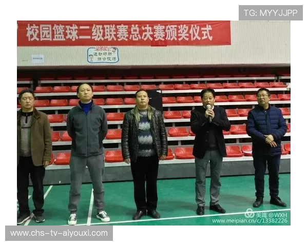 国际击球运动联赛分级体系改革建议书，击球比赛